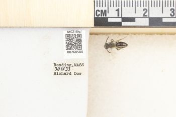 Media type: image;   Entomology 768584 Aspect: Labels